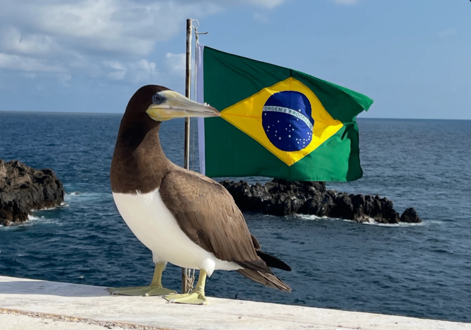 Arquipélago de São Pedro e São Paulo